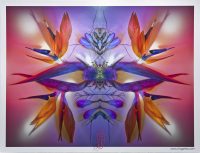 0a_full_crop_KingaMila_ColoursOfTheRainbow_Sale