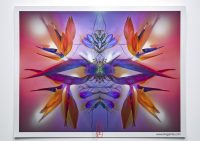 0b_full_KingaMila_ColoursOfTheRainbow_Sale