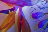 0e_KingaMila_ColoursOfTheRainbow_Sale