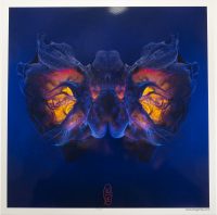 1_ThePrimalMoth_KingaMila
