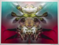 2a_full_crop_KingaMila_ColoursOfTheRainbow_Sale