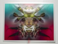 2b_full_KingaMila_ColoursOfTheRainbow_Sale