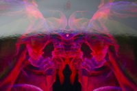 6a_TheCrimsonMoth_Moths_KingaMila