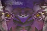 6d_KingaMila_ColoursOfTheRainbow_Sale