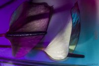 9c_KingaMila_ColoursOfTheRainbow_Sale