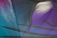 9d_KingaMila_ColoursOfTheRainbow_Sale